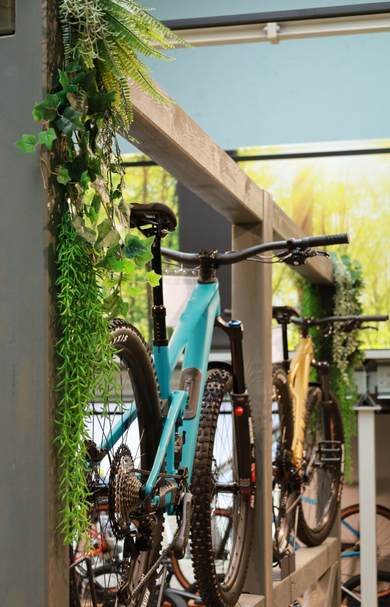 Grüne Pflanzen und Cube Fahrrad 1