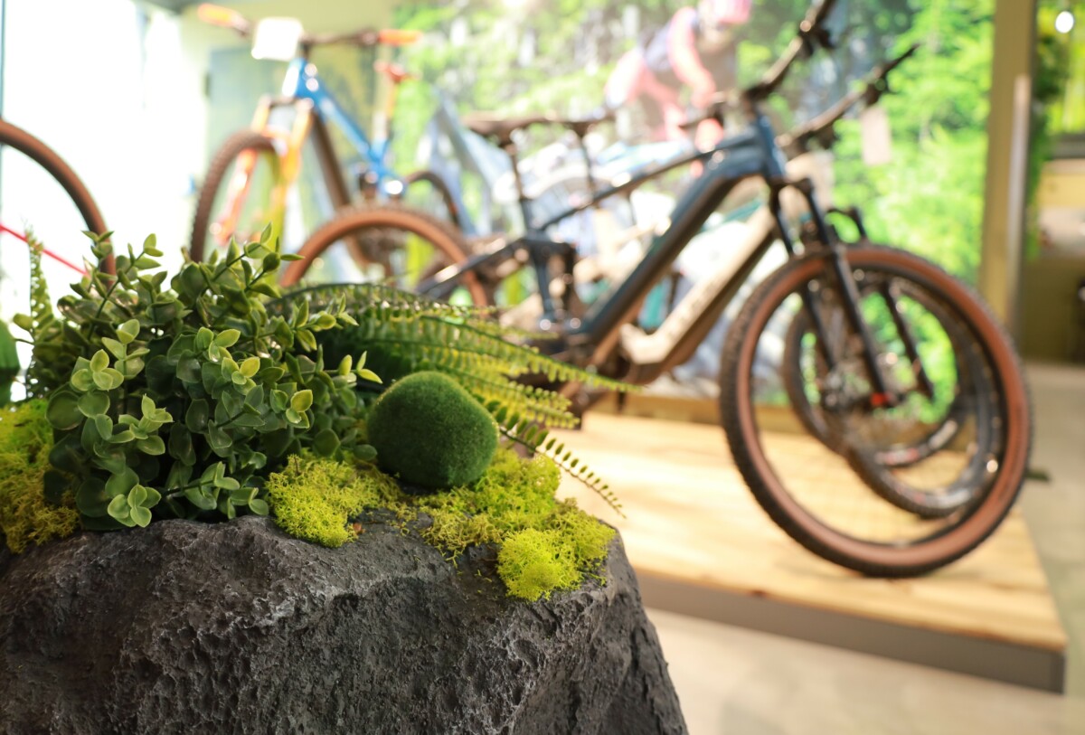 Grüne Pflanzen und Cube Fahrrad 2