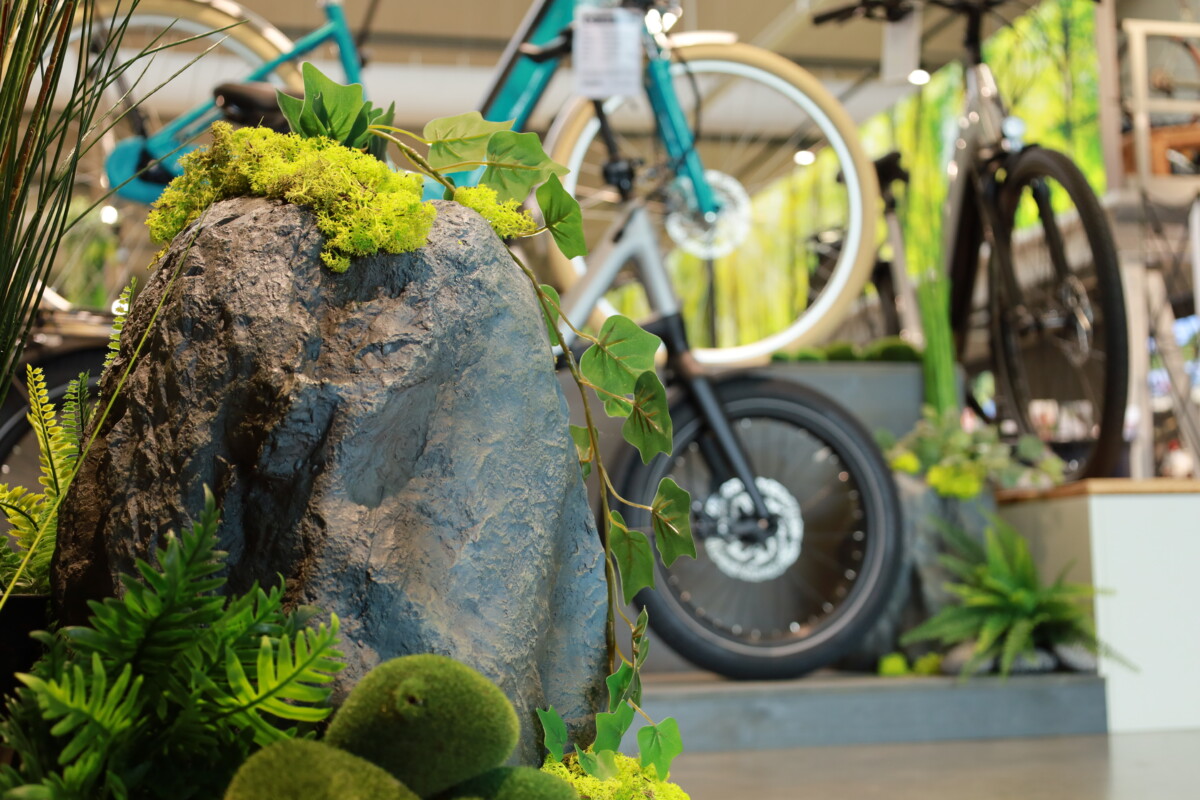 Grüne Pflanzen und Cube Fahrrad 4